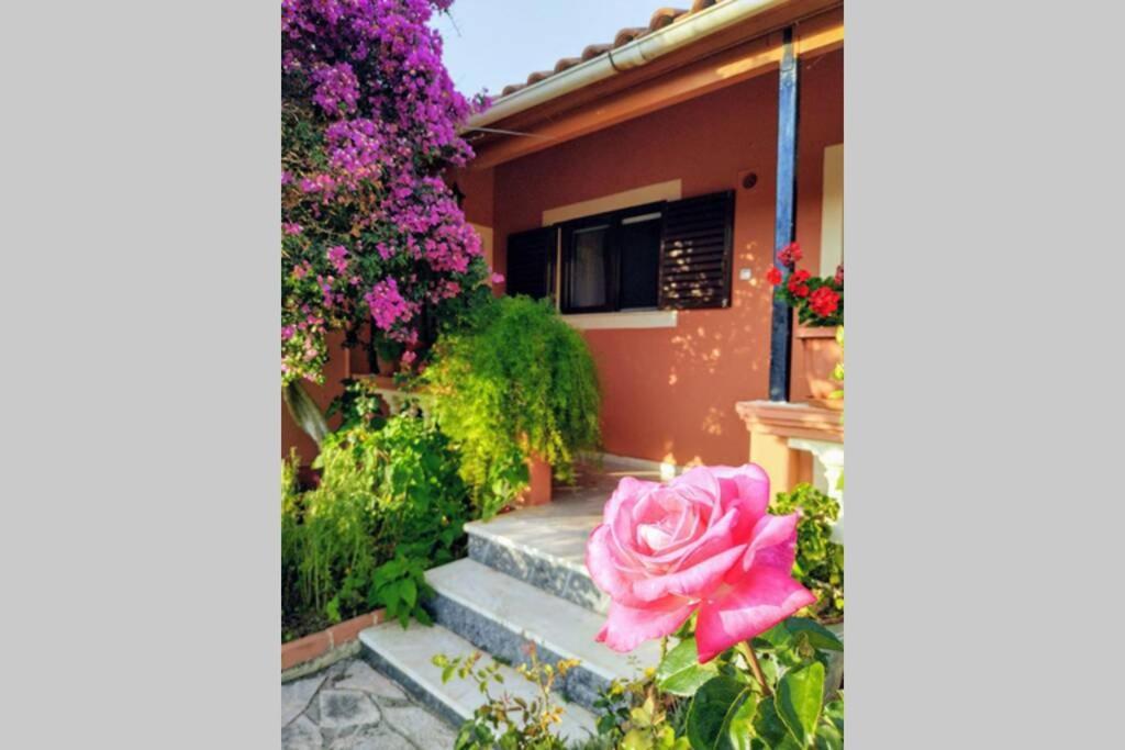 Rose Garden Villa Melikia Ngoại thất bức ảnh